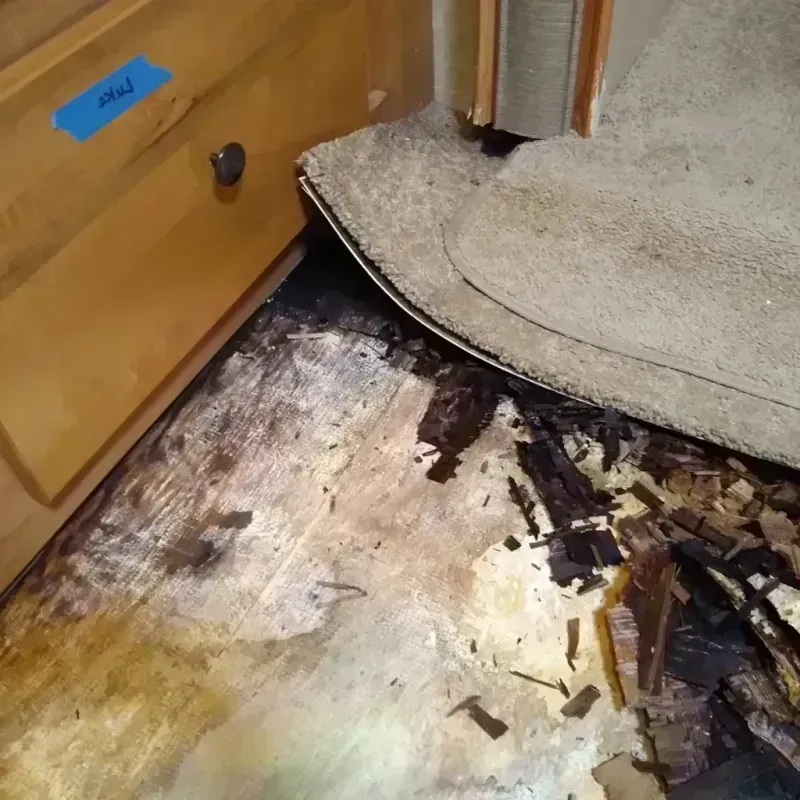 Best Wood Floor Water Damage Service in Lincoln Heights, OH